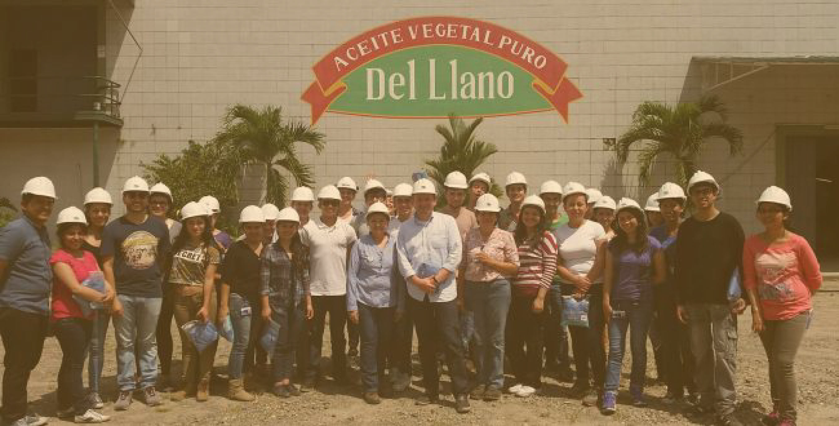 Valores Del Llano